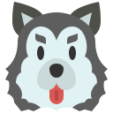 husky siberiano 