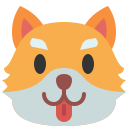 shiba inu 