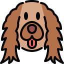 cocker icon