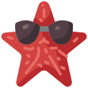 estrella de mar icon