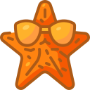 estrella de mar 