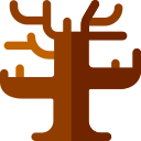 Árbol