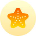 estrella de mar 