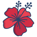 hibisco icon