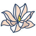 magnolia icon