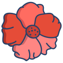 capuchina icon