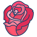 rosa icon