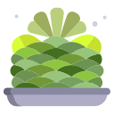 cactus icon