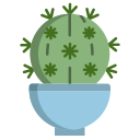 cactus icon