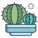 cactus icon