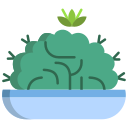 cactus icon