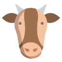 vaca 