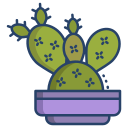 cactus icon