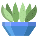 cactus icon