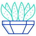 cactus icon