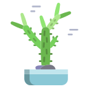 cactus icon