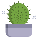 cactus icon