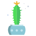 cactus icon