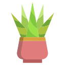 cactus icon