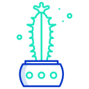 cactus icon