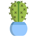 cactus icon