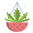 cactus icon