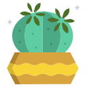 cactus icon