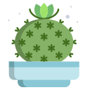 cactus icon