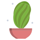 cactus icon