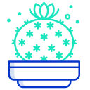 cactus icon