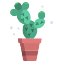 cactus icon