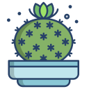 cactus icon