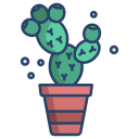 cactus icon