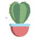 cactus icon