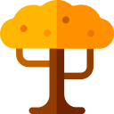 Árbol