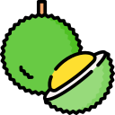 durian icon