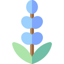 lavanda icon