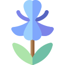 iris icon