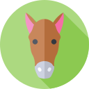 burro icon