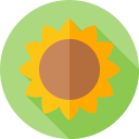 girasol icon