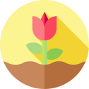 tulipán icon