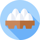 huevos icon