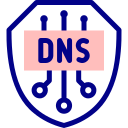 dns icon