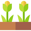 tulipanes icon