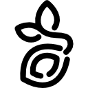 새싹 