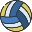 bola de voleibol 