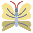 mariposa