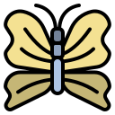 mariposa