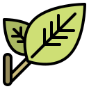 hoja icon