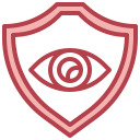 seguridad icon